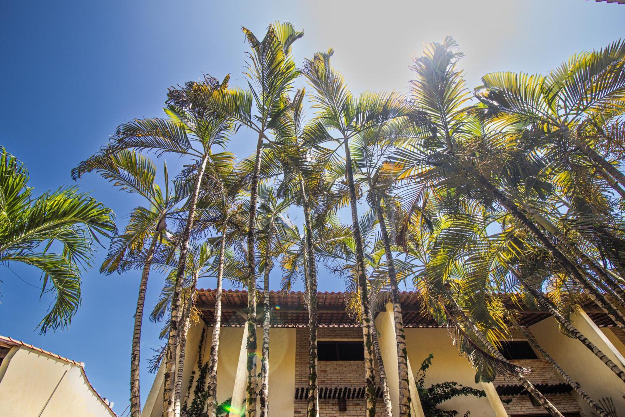 Condominio Solar Pipa - Apartamento Economico, Sem Varanda Praia de Pipa 外观 照片